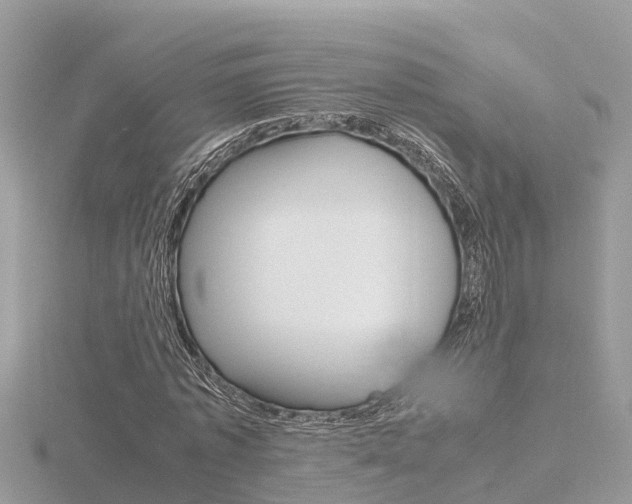 X0000116660773200912141026
