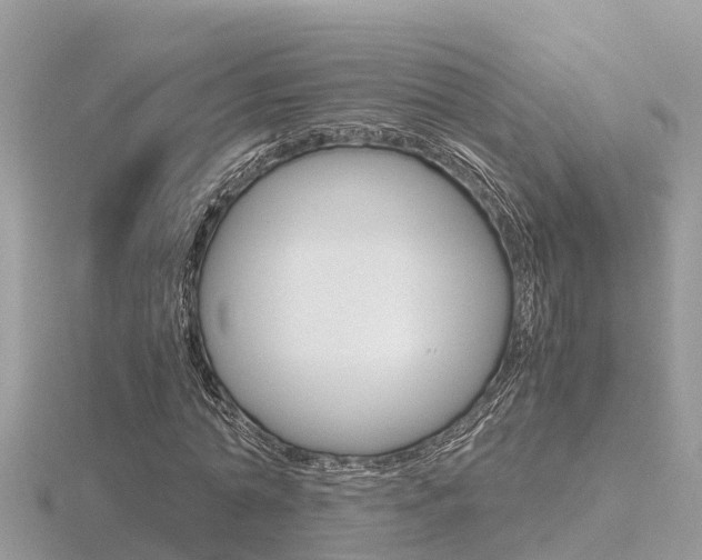 X0000116660774200912141026
