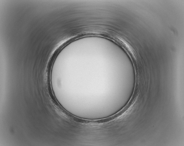 X0000116660779200912141025