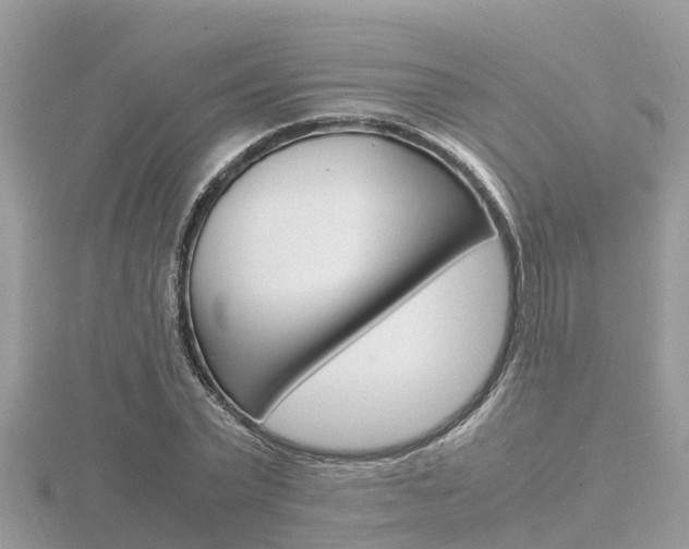 X0000116660783200912141025