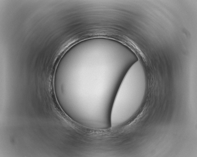 X0000116660786200912141025