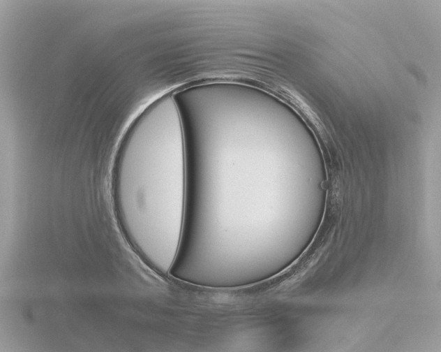 X0000116660787200912141025