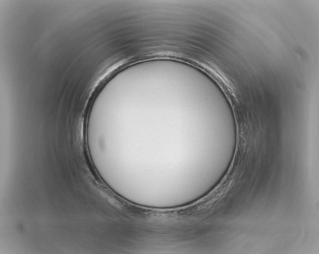 X0000116660790200912141025