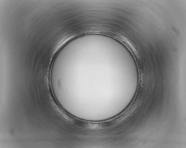 X0000116660794200912141025