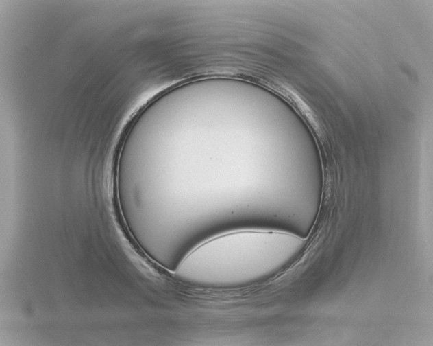 X0000116660795200912141025