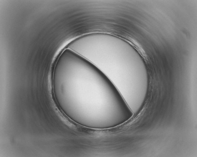 X0000116660796200912141025