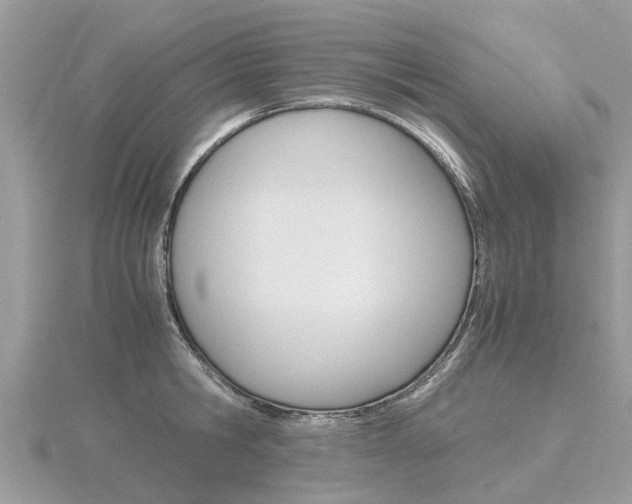X0000116660806200912141025
