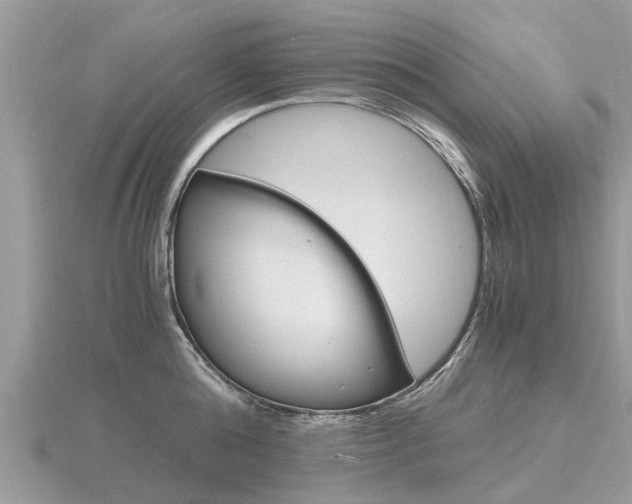 X0000116660808200912141025