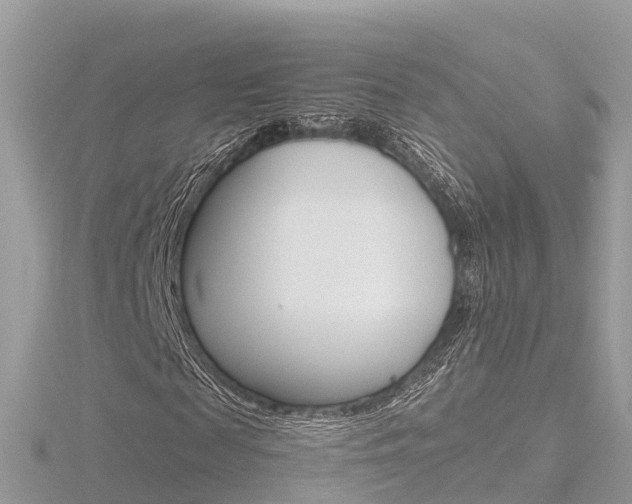 X0000116660817200912141024