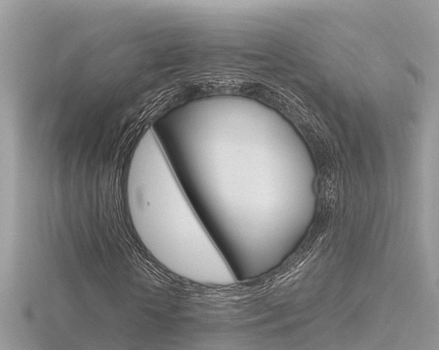 X0000116660818200912141024