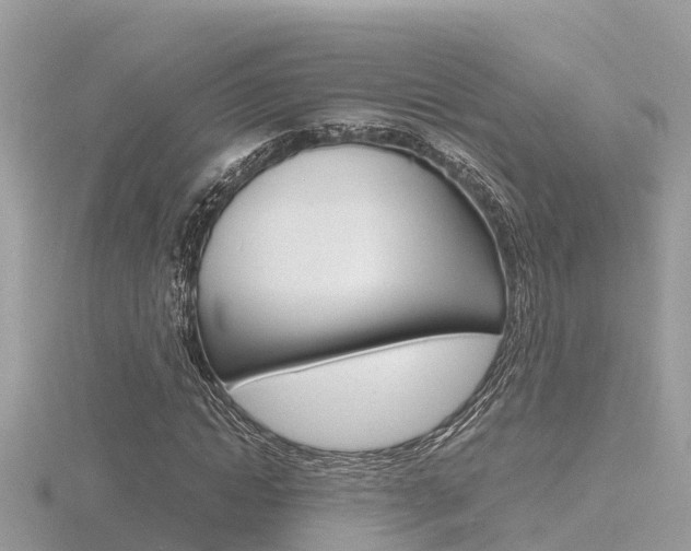 X0000116660822200912141024