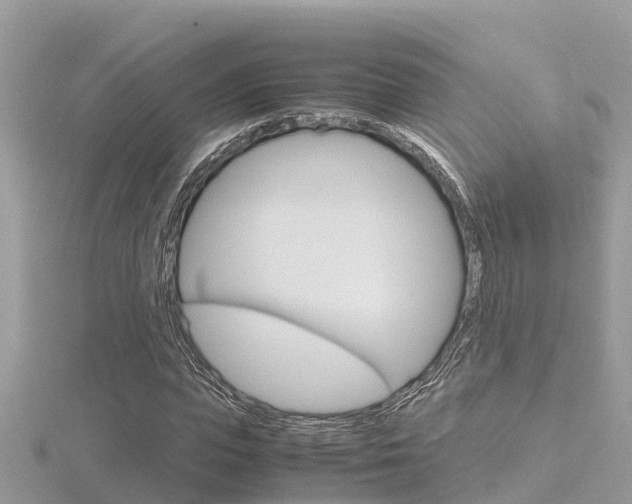 X0000116660823200912141024
