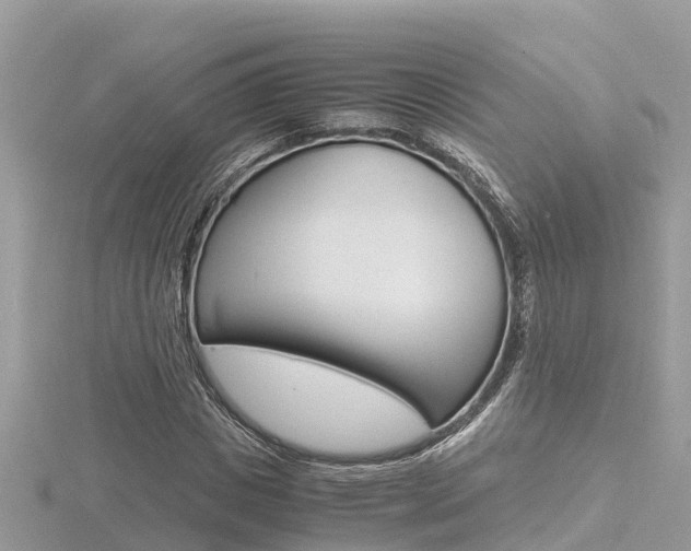 X0000116660825200912141024