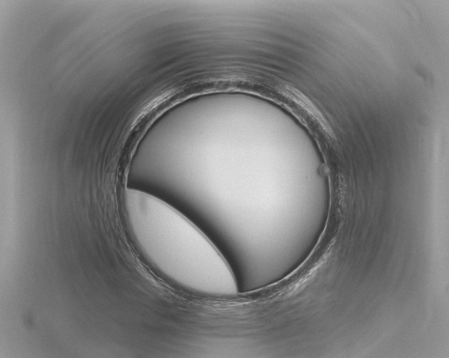 X0000116660826200912141024