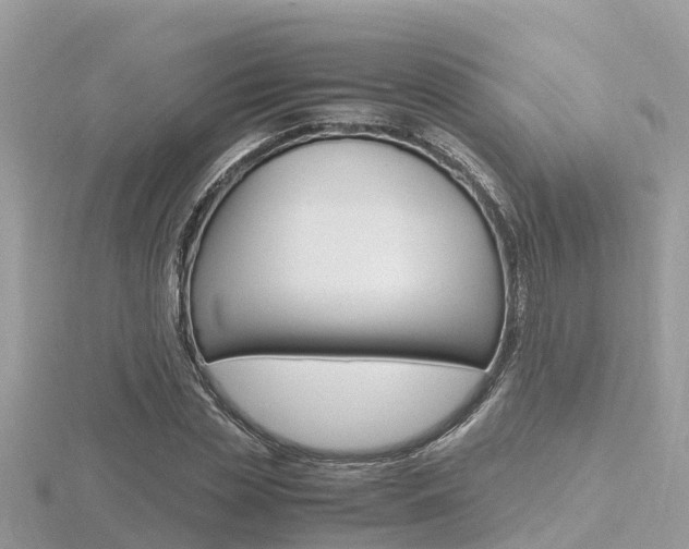 X0000116660829200912141025