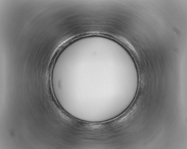 X0000116660831200912141025
