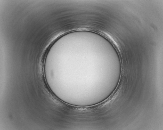 X0000116660835200912141025