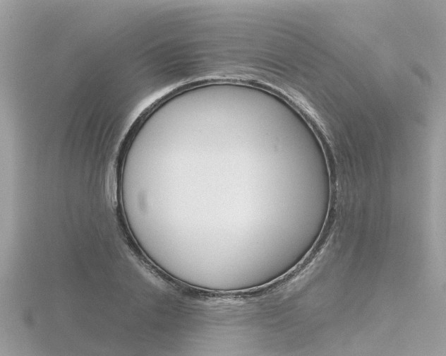 X0000116660838200912141025