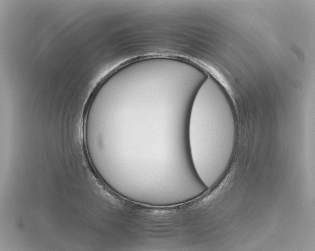 X0000116660839200912141025