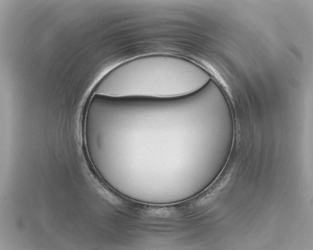 X0000116660843200912141025