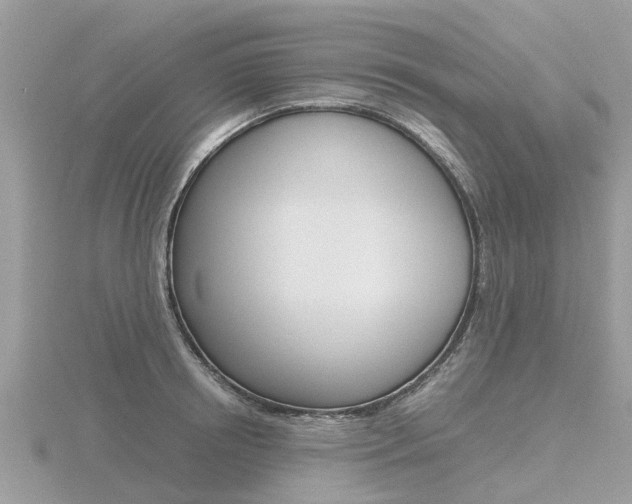 X0000116660850200912141025
