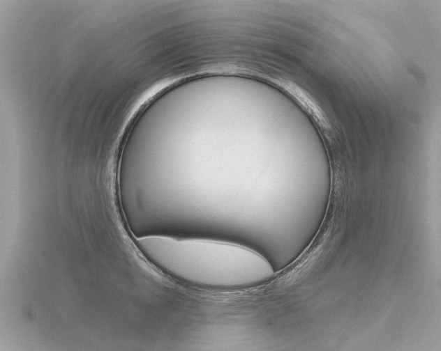 X0000116660854200912141025