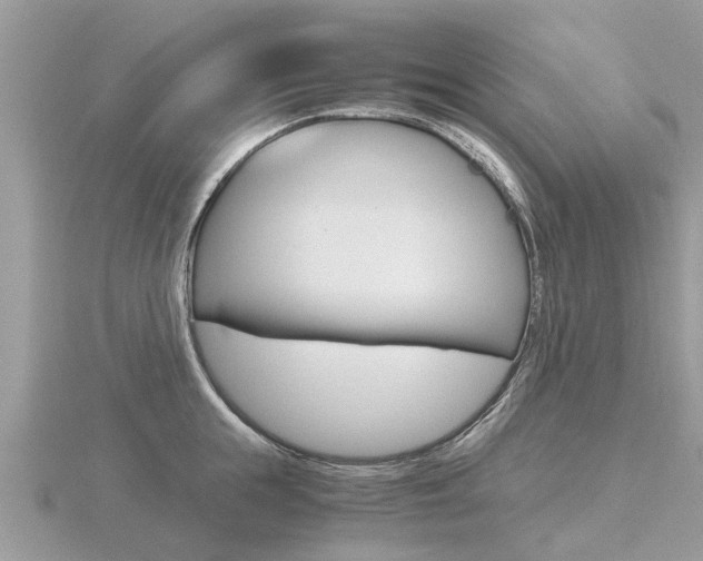 X0000116660855200912141025