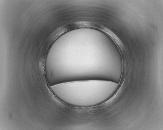 X0000116660857200912141025
