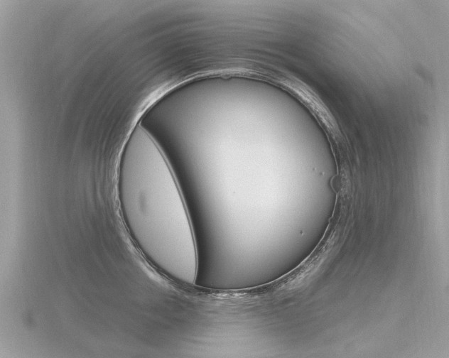 X0000116660858200912141025