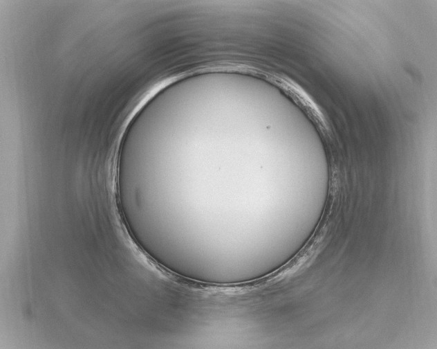 X0000116660860200912141025