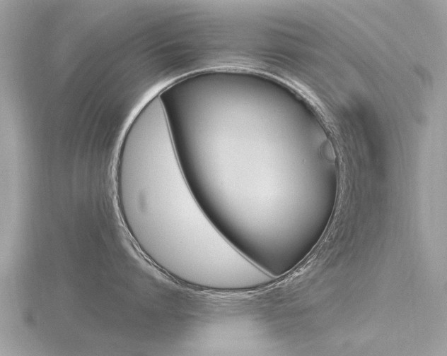 X0000116660864200912141025