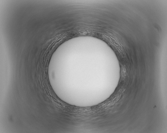 X0000116660865200912141024