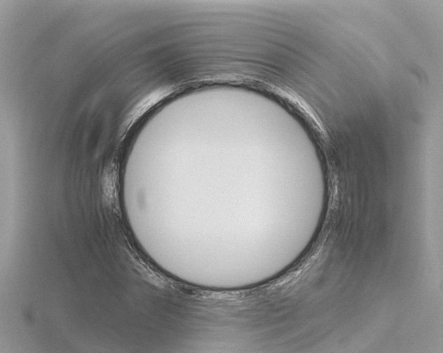 X0000116660874200912141024