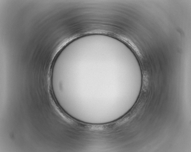 X0000116660890200912141024
