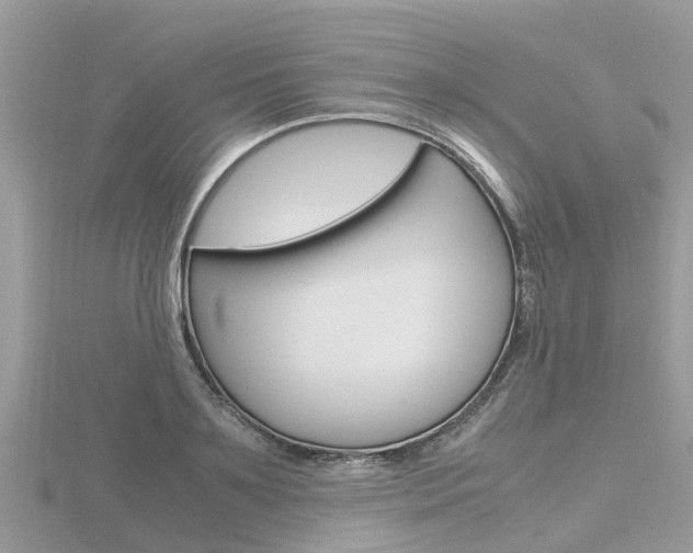 X0000116660891200912141024