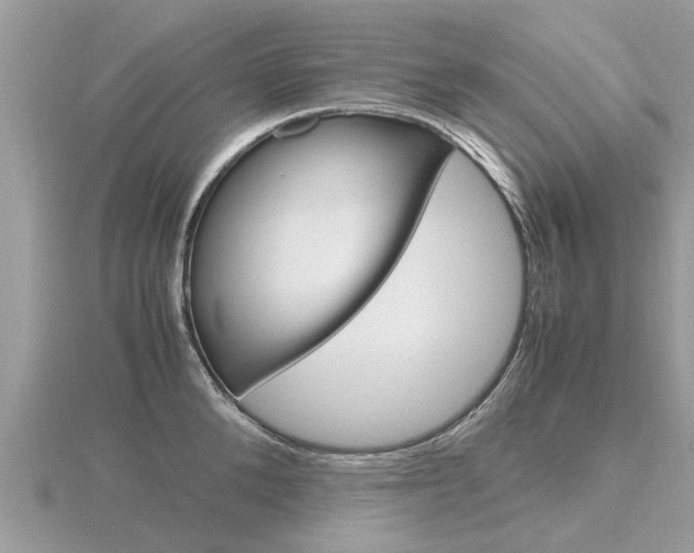X0000116660904200912141024