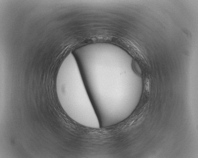 X0000116660915200912141023
