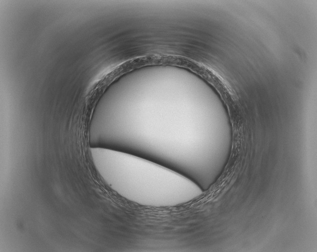 X0000116660919200912141023