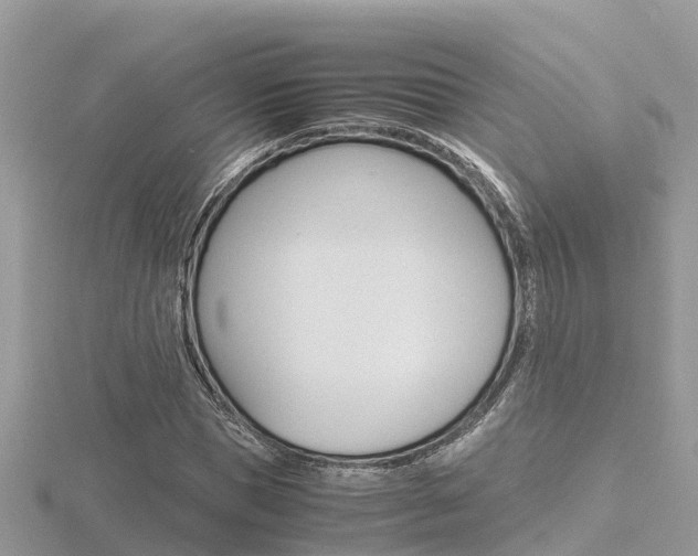 X0000116660921200912141023