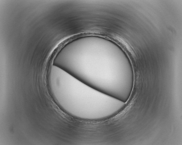 X0000116660923200912141023