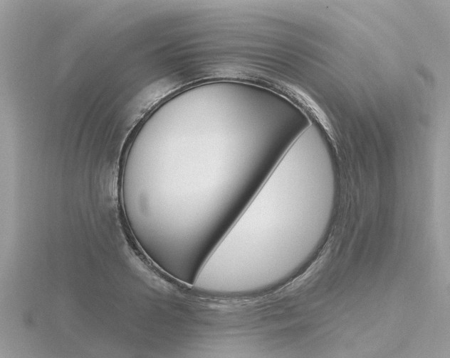X0000116660938200912141023