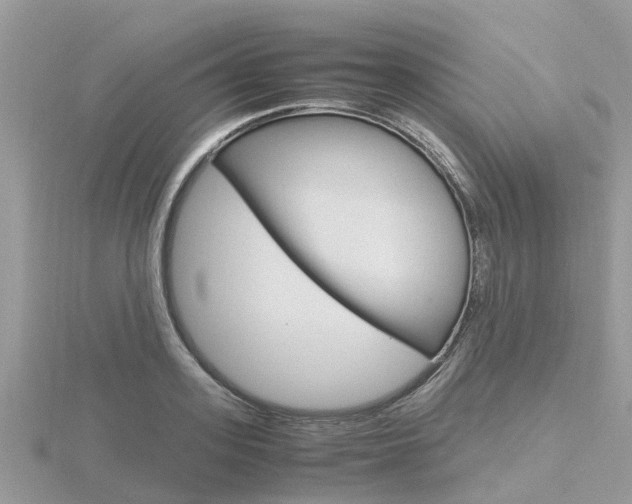 X0000116660939200912141023