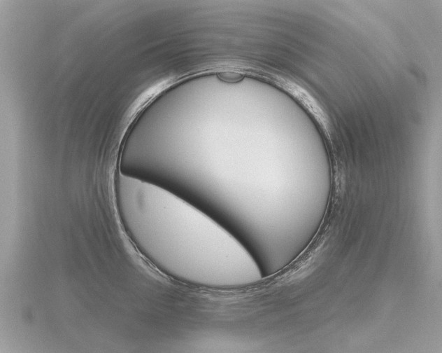 X0000116660954200912141024