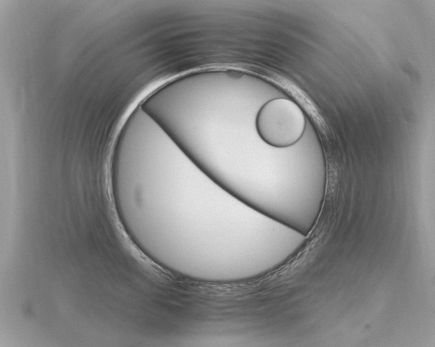 X0000116660955200912141024