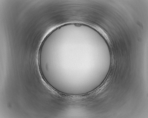 X0000116660958200912141024