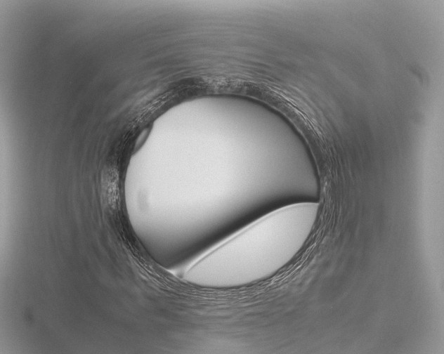 X0000116660963200912141023