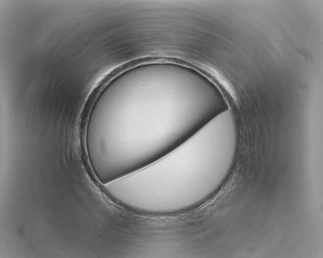X0000116660972200912141023