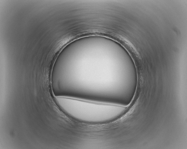 X0000116660977200912141023