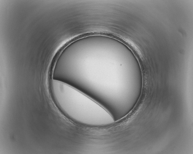 X0000116660983200912141023
