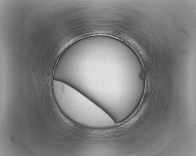 X0000116660985200912141023